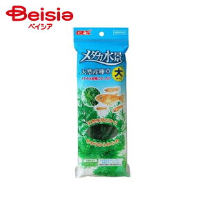 WFbNX _JiVRYi1j ×1