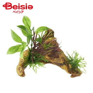 ジェックス 癒し水景水草付き流木ニードル(1個入) ×1個