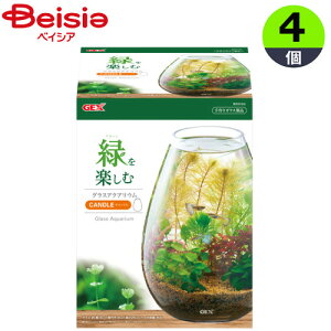 WFbNX OXANAELhi1j×4 ܂Ƃߔ Ɩp ybg