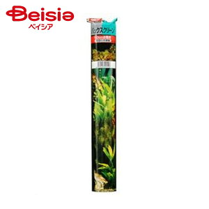 WFbNX GX11BXN[60ʐ^i1j ×10