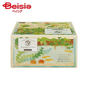  ANAeA _Jp ꐅN190 ×1