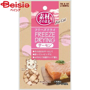 yeBI fނ̂܂܃t[YhC For Cat T[10g ybg | yeBI fނ̂܂ t[YhC L  Lbgt[h T[ 10g Y Y ˂ lR