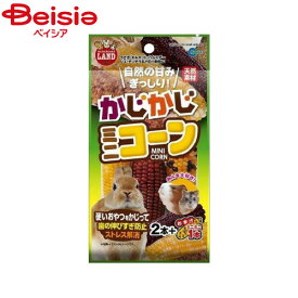 マルカン MR-785かじかじミニコーン2本＋1本 ペット | 小動物 かじり木 ミニコーン トウモロコシ おもちゃ ストレス解消 齧り木 ハムスター うさぎ 2本+1本