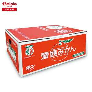 Ε 2025 ~Mtg Ԕ݂M`LTCY3KG QJAЂߓ 蕨 Gift  150-64