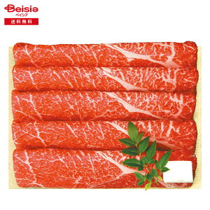 Ε 2025 ~Mtg јaĂEԂԗp Oc{ Ⓚ 蕨 Gift  185-55