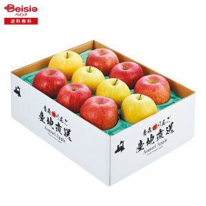 Ε 2025 ~Mtg 񂲋l XS 蕨 Gift  162-64