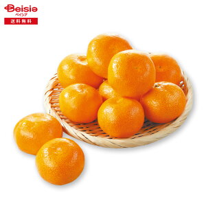 Ε 2025 ~Mtg Ԕ݂LTCY5KG QJAЂߓ 蕨 Gift  149-64