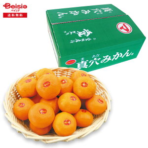 Ε 2025 ~Mtg ^݂5KG QJAɂ^I 蕨 Gift  157-64