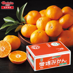 Ε 2025 ~Mtg Ԕ݂MTCY5KG QJAЂߓ 蕨 Gift  151-64