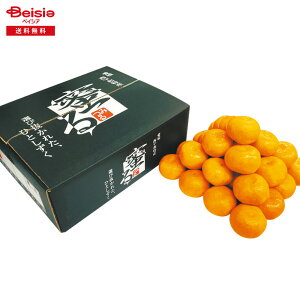 Ε 2025 ~Mtg ݂4KG QJAɂ݂鋤I 蕨 Gift  155-64