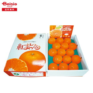 Ε 2025 ~Mtg g܂ǂ3KG QJAЂߒAJAɂA 蕨 Gift  158-64