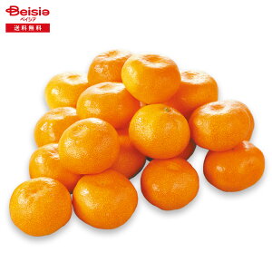 Ε 2025 ~Mtg OP݂4KG ÉJA݂ 蕨 Gift  152-64