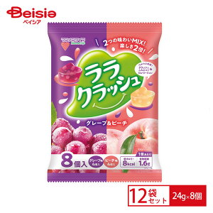 }iCt 蔨 NbV A\[g O[vs[` 24g*8×12Zbg