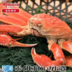 カネサン佐藤水産 ボイルずわいがに姿 500g*2 | ボイルずわいがに 姿 蟹 カニ 500g 2尾 海鮮 ギフト 贈り物 グルメ お取り寄せ 冬の味覚 年末年始