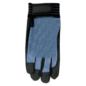 DiVaiZ b}WbNܖۍ 2040AZ|154|S [NT|[g ی  w