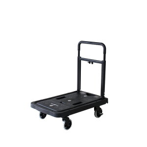 ԉq tbgJ[g F|CART02  ^ ̑i^ށj