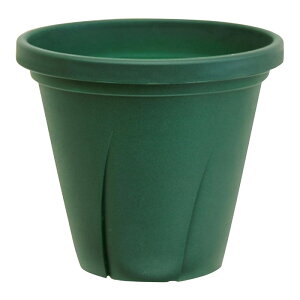 }g ͂蔫 8 4D8L _[NO[ | |pi ƒ뉀| v uL ͂蔫  v^[ |  CeA  O Xbg uL Aؔ x_ A K[fj