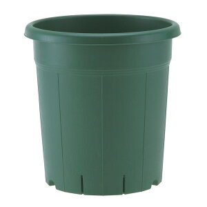 AbvEFA[ o12O[ 12SE O[ |pi ƒ뉀| v uL