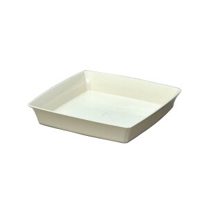 AbvEFA[ OVAv[g 145K^ zCg |pi ƒ뉀| M v[g