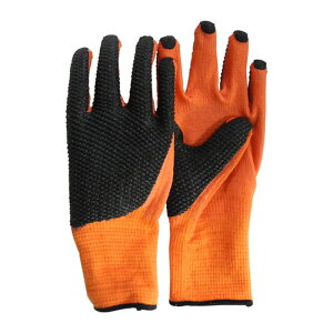 F{X knp K86LTCY |pi ی ⏕ | rJo[