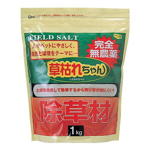 SgE  ͂ꂿ 1kg 877364 |pi  엿 