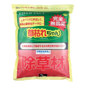 SgE  ͂ꂿ 3kg 877365 |pi  엿 