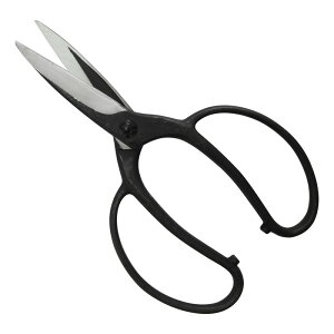 gn A lW BP NOD203B |  ؕ