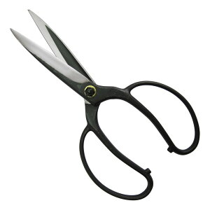 gn A lW BP NOD204 |  ؕ