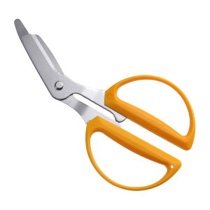 COMODO _{[p͂ CDH|165 H  Jb^[ ƒp͂