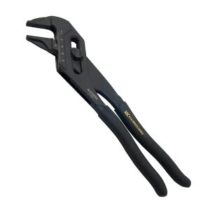 tW p[L[vC[ FLM|45|BG ƍH zǍH EH[^[|vvC