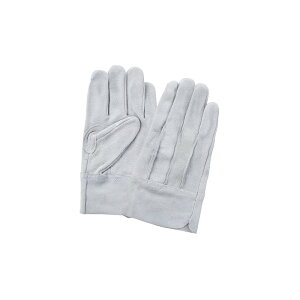 FGC  EX|600 M [NT|[g ی  v