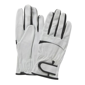 FGC uCNtBbg BF|102 LL [NT|[g ی  v