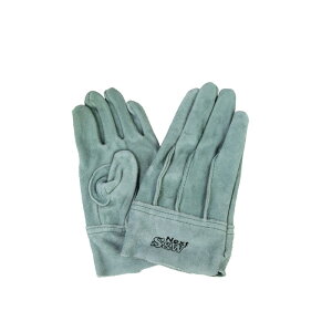 FGC ICwDSW Next SN|6 L [NT|[g ی  v