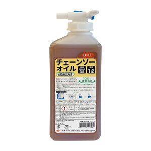 BOLL 𐫃`F[\[IC BC|1K 1L ƍH IC EGX @Bp