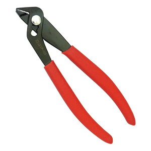 IPS rjybR VP|135 |pi |_Ǝ  