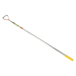 hEJ YX A~pC DK|806 | y_ 