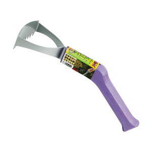 hEJ GƂꑾؕЎp DK|812 | y_ 