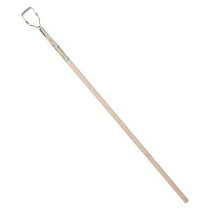 hEJ Y ɍ׃X DK|804 | y_ 