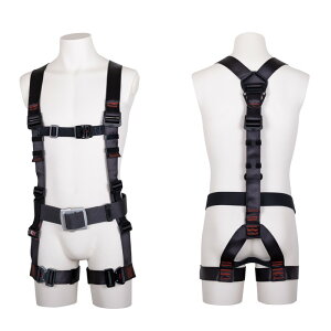 c 򉍃n[lX TH|506|OT|DG|M [NT|[g ی S n[lX2