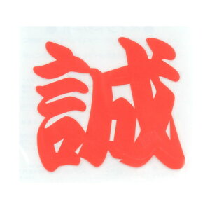 TOYO �y�C���g�V�[���� �� NO�DPT�|2 ���[�N�T�|�[�g �ی�� �w�����b�g�O�b�Y��