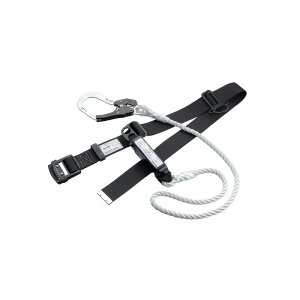 TOYO xg^ [v NoDGH|888 N [NT|[g ی S [v