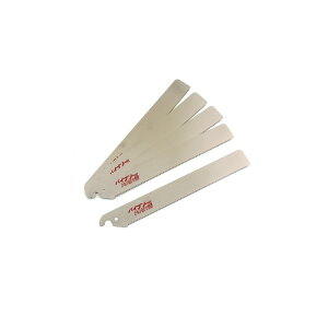 Z pCv\[240֐n 5 08081 H  [bg\[