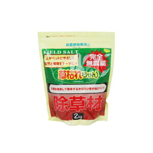 SgE GT͂ꂿ 2kg 870369 |pi  엿 