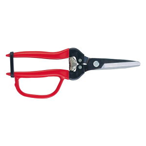 AX ؉K[ht 300LW|G|BP |  n