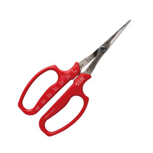 AX ԂǂE \niBPj 321DX|M|BP |  n