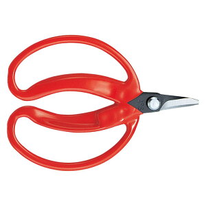 AX ̎ ȁi|ܓj 430 |  n