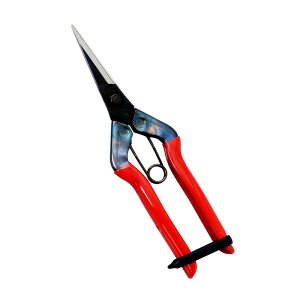 `J}T  T|550 |  n