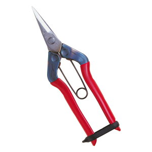 �`�J�}�T �X�e�����X�E���� T�|500S ���|���� �� ���n��