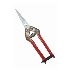 `J}T XeXR T|55SKF |  n