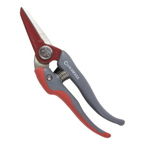 `J}T Egb\ G TS|66B |  